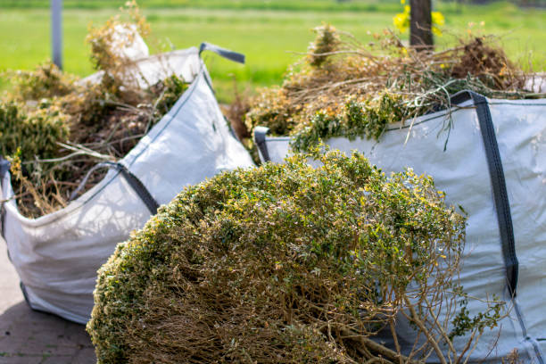 Best Basement Cleanout Services  in Gillette, WY